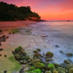 Tengok Foto Keindahan Pantai Kolbano di Kupang