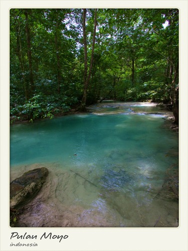 Biaya liburan ke Pulau Moyo