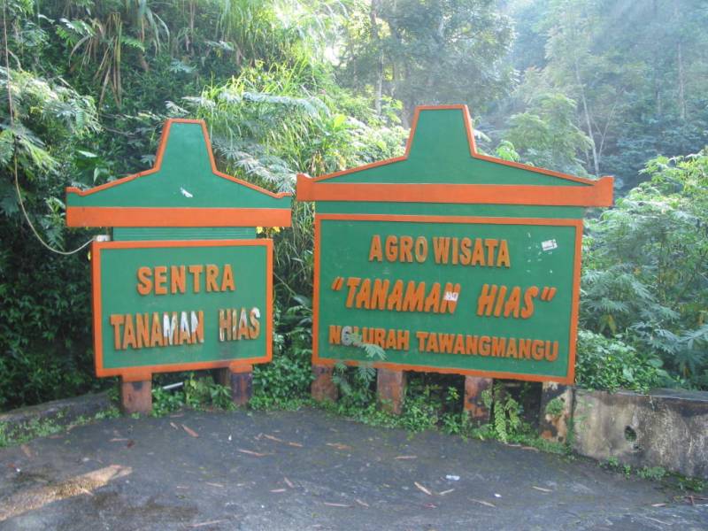 Obyek Wisata Tawangmangu Karanganyar Tempat Wisata Indonesia